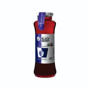 GN 100% Blackberry Juice 250ml – 20 pcs/ctn