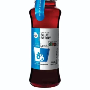 GN 100% Blueberry Juice 250ml – 20 pcs/ctn