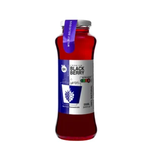 GN 100% Blackberry Juice 250ml – 20 pcs/ctn