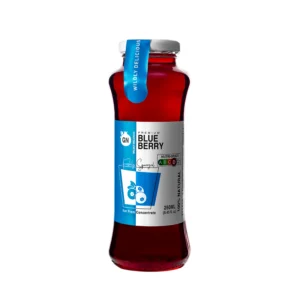 GN 100% Blueberry Juice 250ml – 20 pcs/ctn